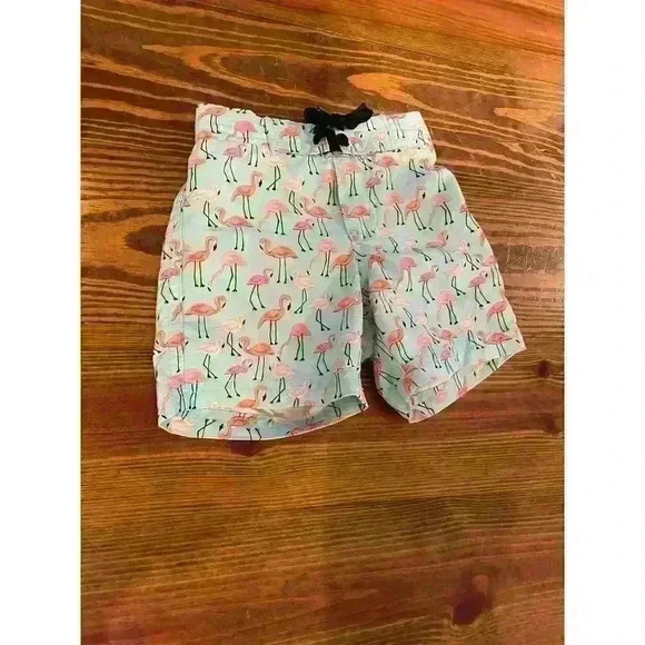 Janie and Jack Mint Flamingo Swim Trunks, size 3-6 months - Picture 3 of 8